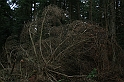 Rostoczek 11.2008 179